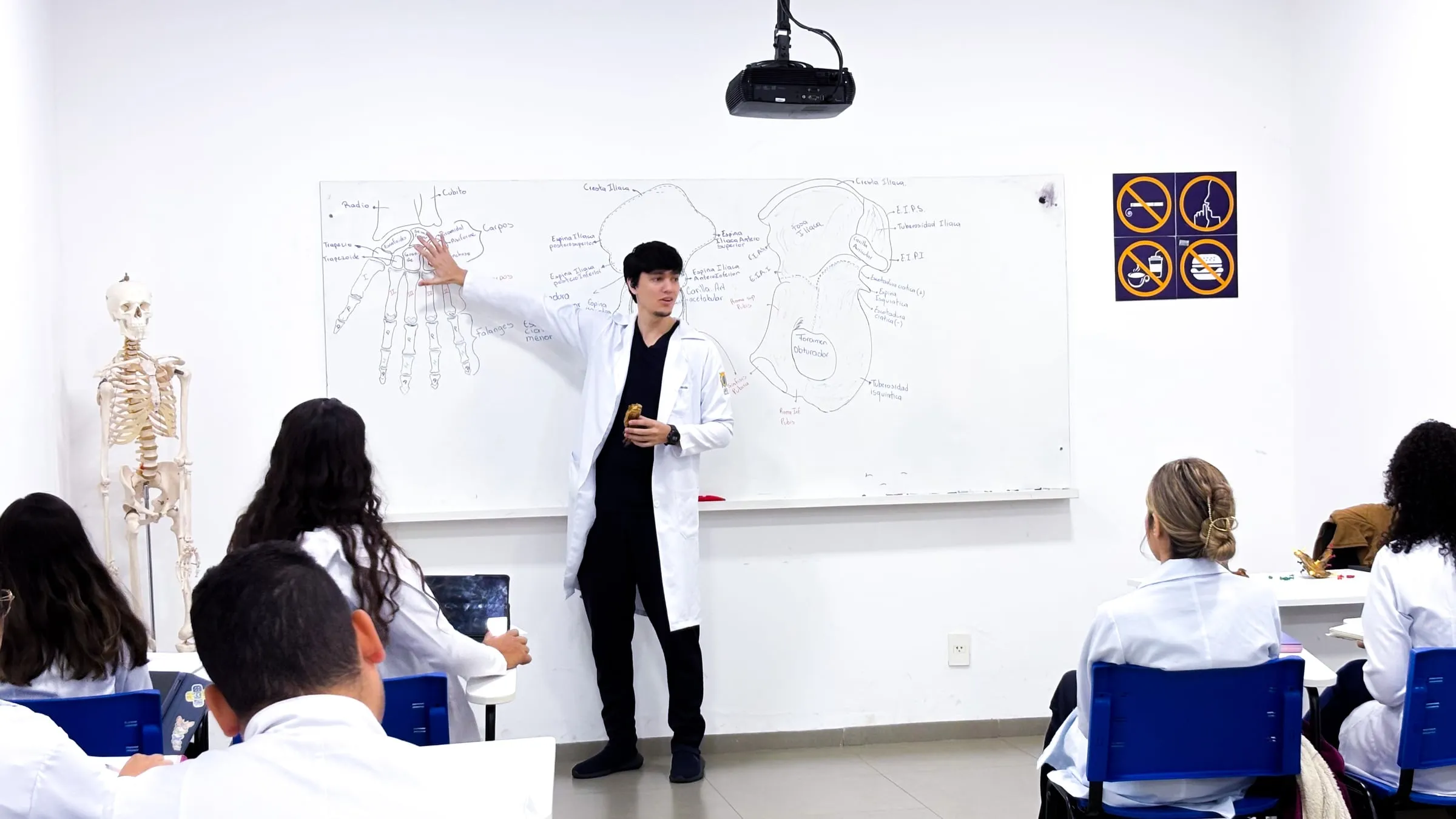 Professor desenhando a anatomia no quadro da sala de aula, com um esqueleto ao lado